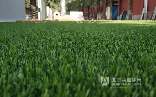 人工草皮細節(jié)圖