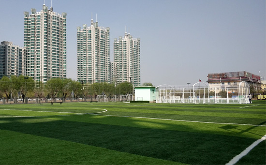 校園草坪足球場施工建設(shè)