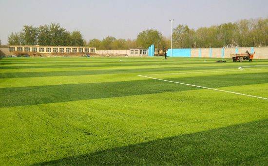 人造草足球場施工現場圖片
